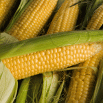 Speculator’s Corner:  Corn Prices Getting Canned